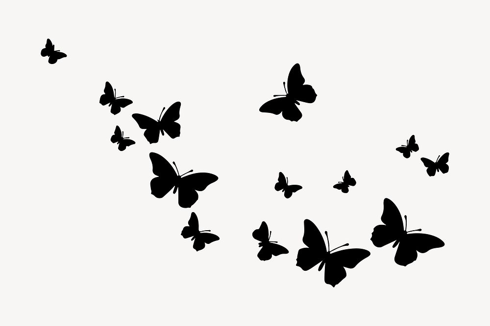 Butterflies flying butterfly animal insect.
