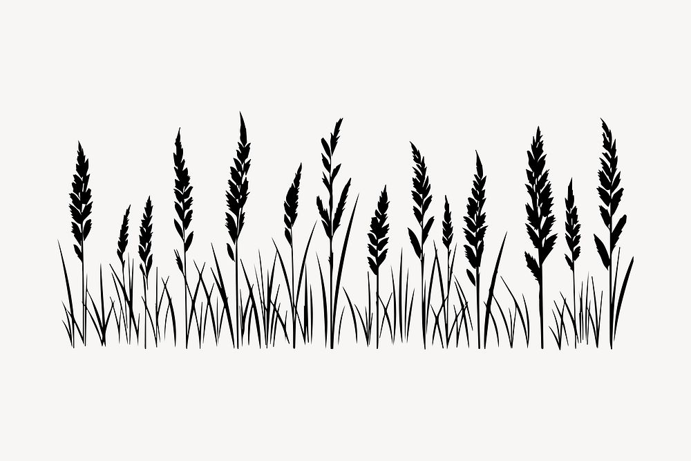 Grass plant white background agriculture.