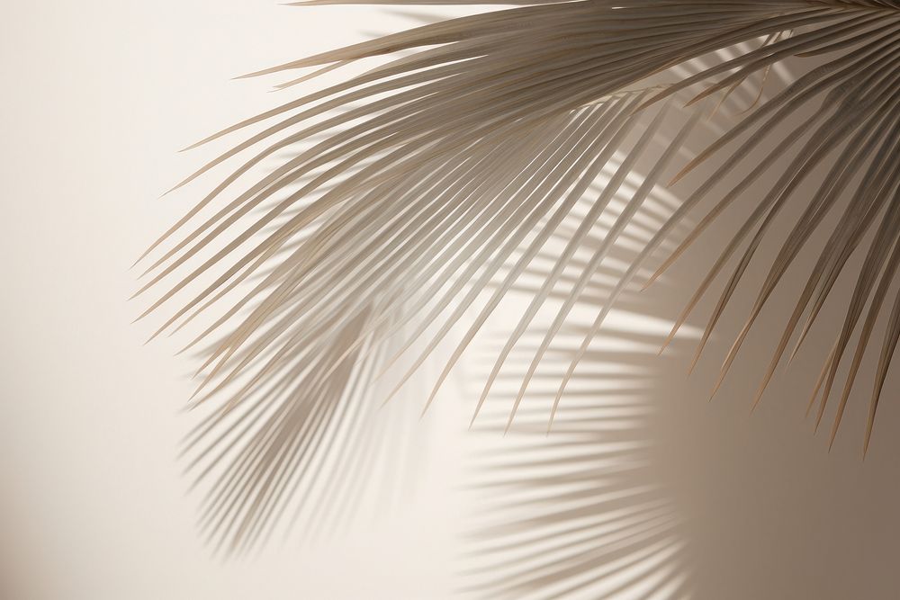 Shadow of a palm tree nature plant leaf. AI generated Image by rawpixel.
