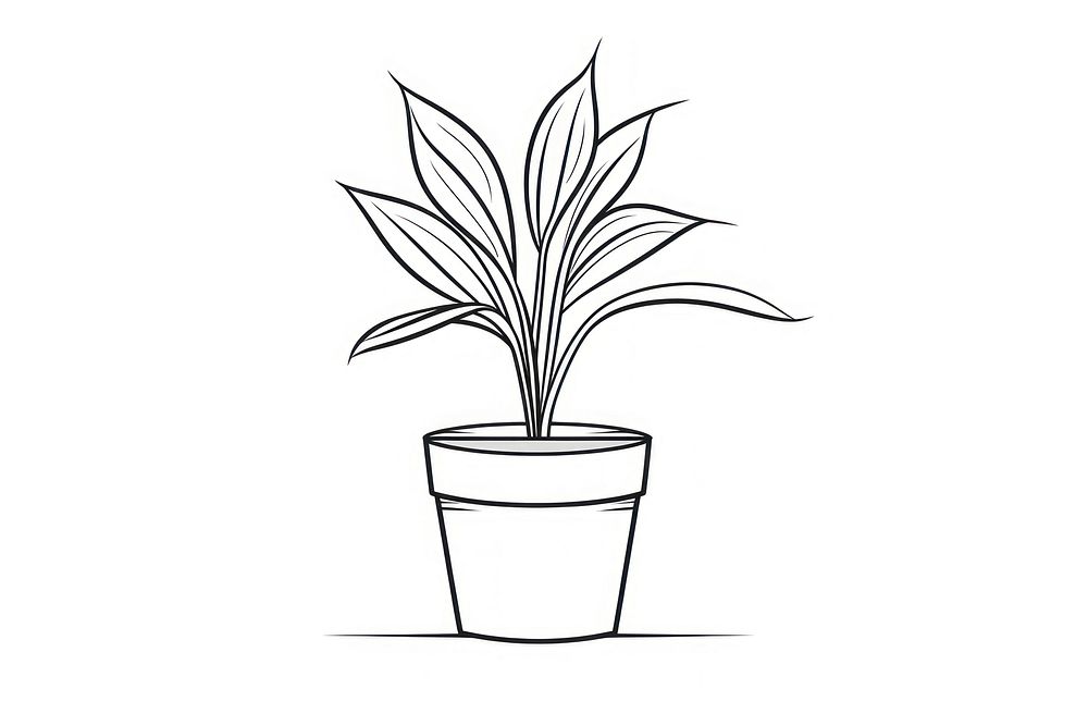 Indoor plant drawing sketch line. AI generated Image by rawpixel.