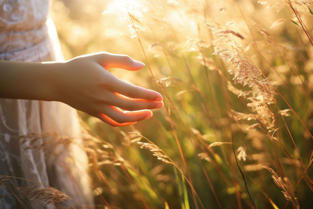Hand on the grasses outdoors nature finger. AI generated Image by rawpixel.