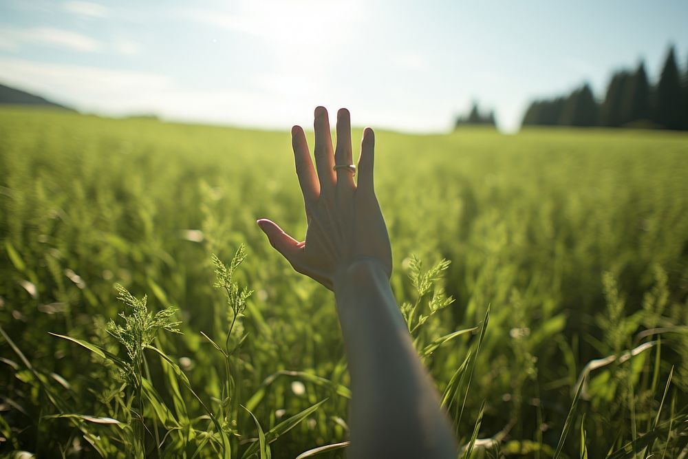 Hand field grass grassland. AI generated Image by rawpixel.