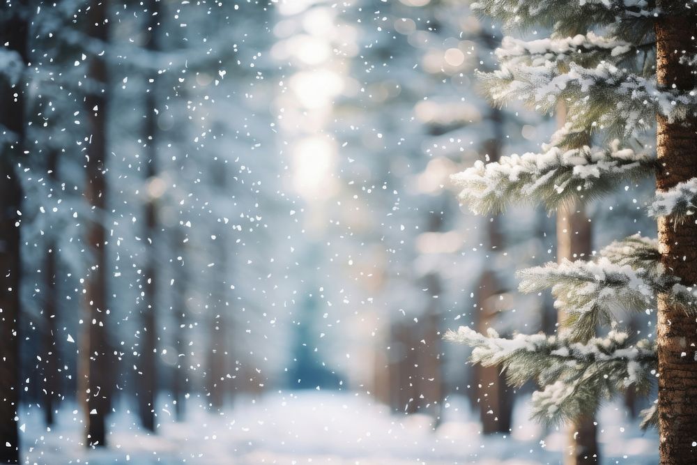 Pine trees snow outdoors winter. AI generated Image by rawpixel.