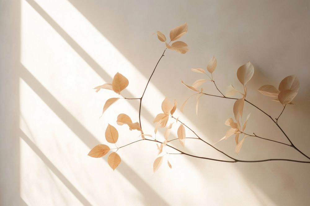 Shadow of a foliage wall nature plant. AI generated Image by rawpixel.