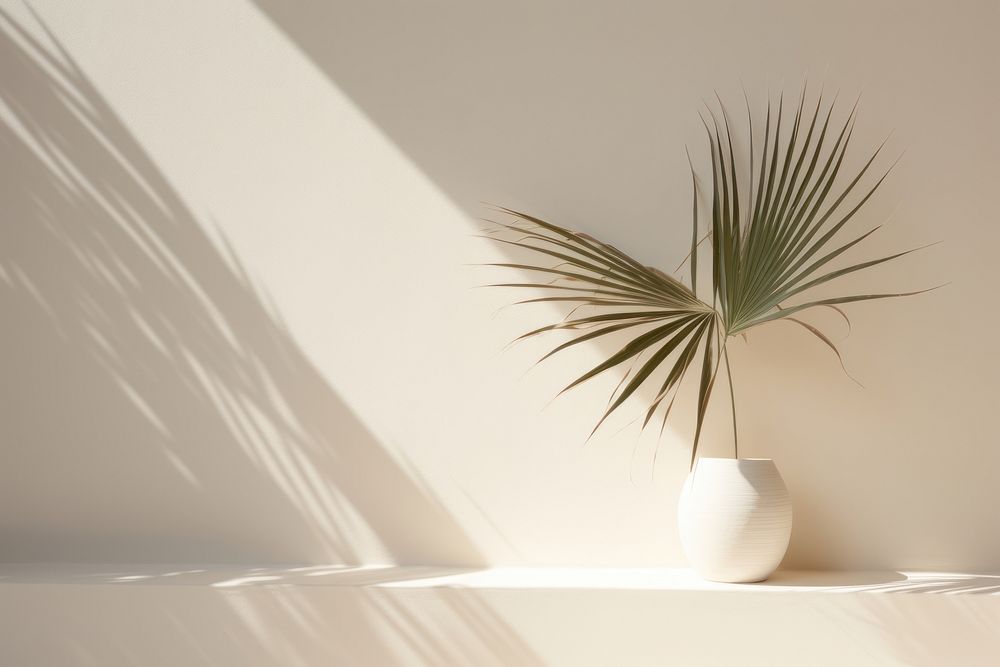 Shadow of a palm tree nature plant white. AI generated Image by rawpixel.