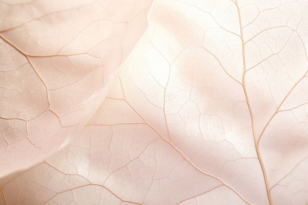 Leave texture plant petal leaf. AI generated Image by rawpixel.