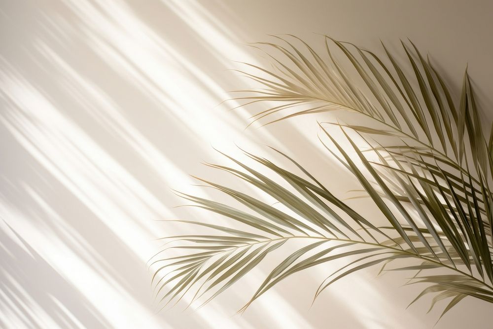 Shadow of a palm leaves nature plant light. AI generated Image by rawpixel.