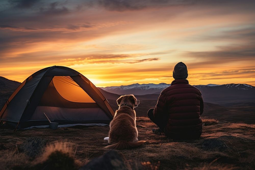 Camping tent dog pet adventure. AI generated Image by rawpixel.