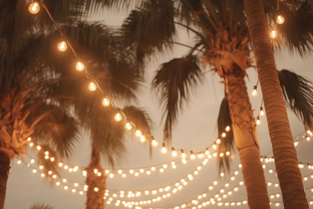 Palm trees outdoors lighting nature. AI generated Image by rawpixel.