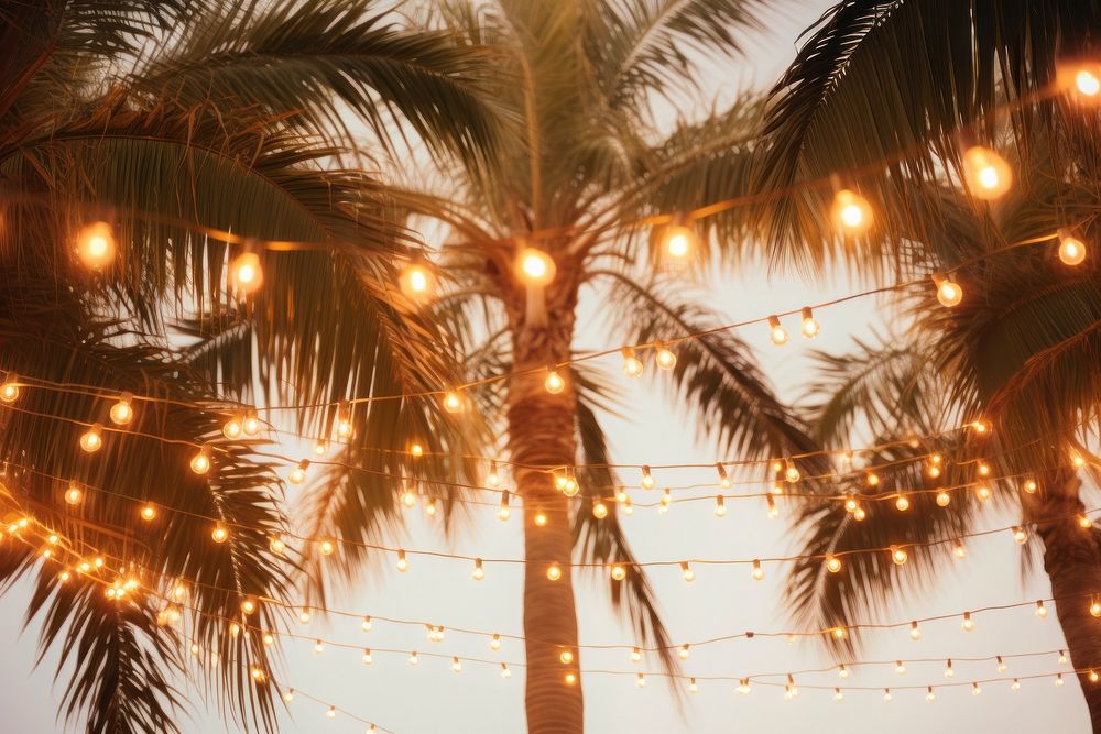 Palm trees outdoors light lighting. AI generated Image by rawpixel.