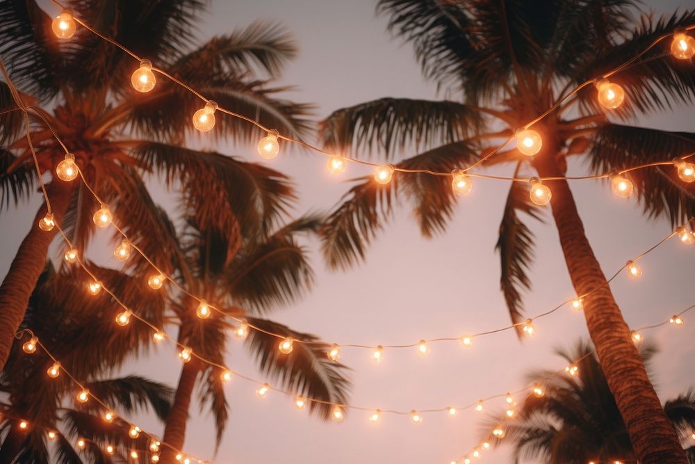 Palm trees outdoors light christmas. AI generated Image by rawpixel.