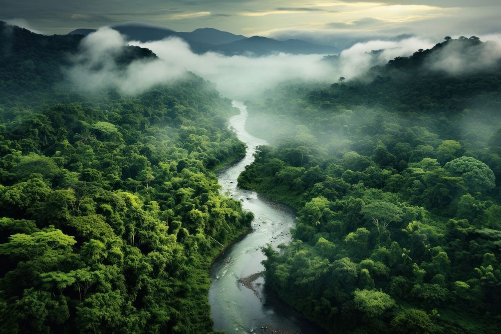 Forest river vegetation rainforest. AI generated Image by rawpixel.