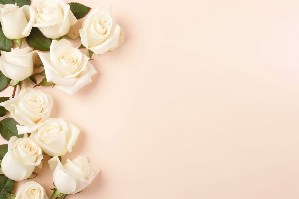 White roses backgrounds flower petal. AI generated Image by rawpixel.