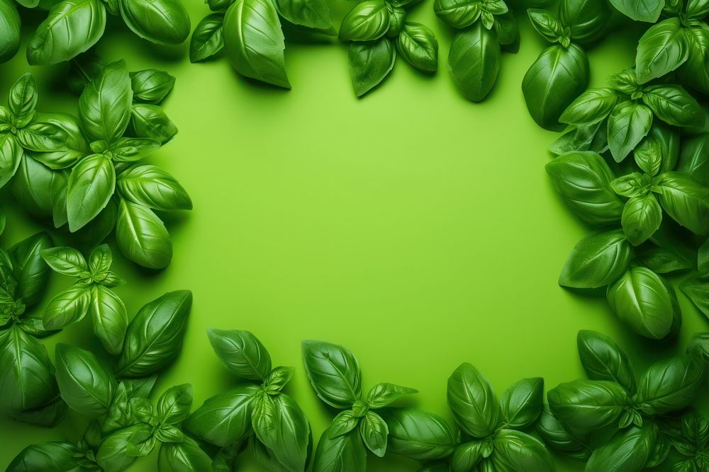 Basil green backgrounds plant. AI generated Image by rawpixel.