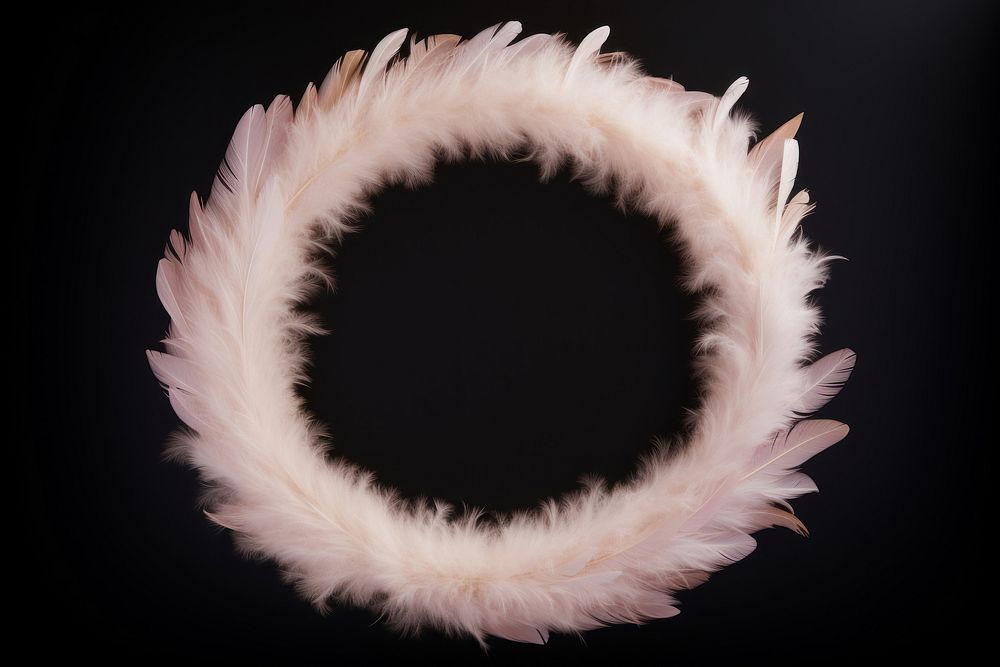 Goose Feather Badmintons feather bird accessories. AI generated Image by rawpixel.