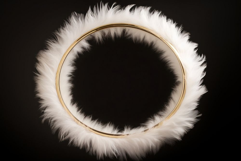 Goose Feather Badmintons jewelry feather lightweight. AI generated Image by rawpixel.