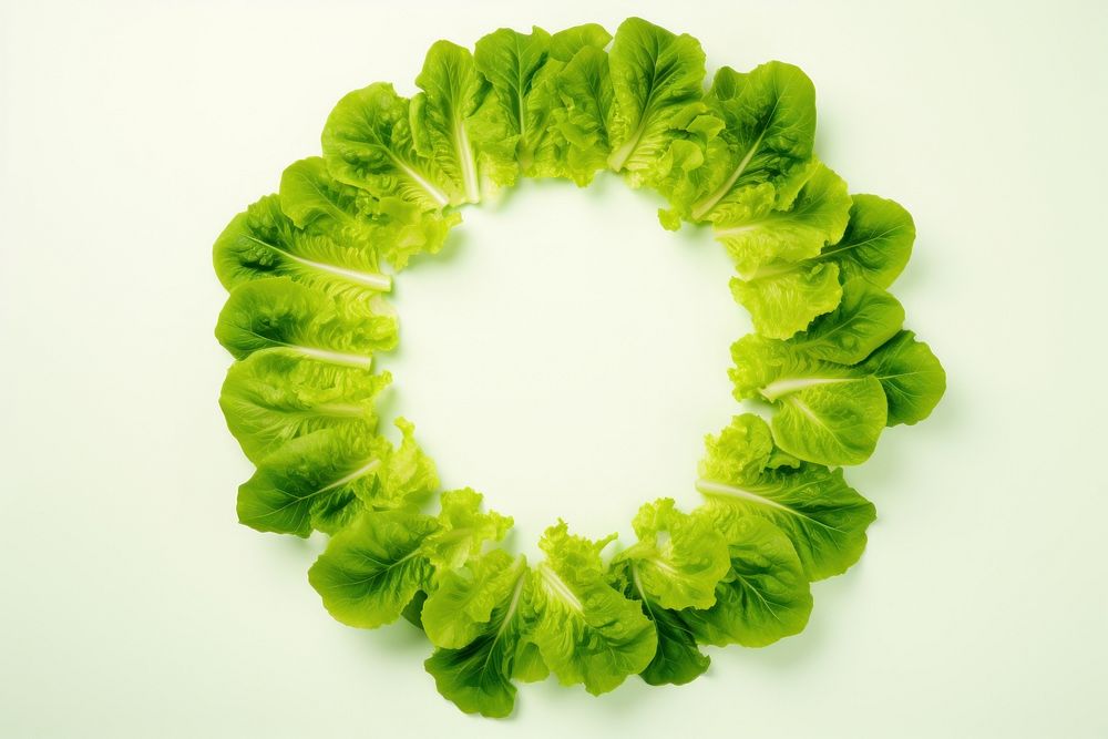 Lettuce vegetable plant food. AI generated Image by rawpixel.