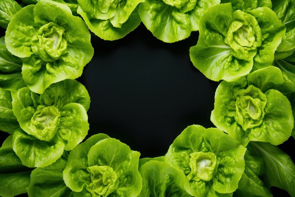 Lettuce vegetable outdoors nature. AI generated Image by rawpixel.