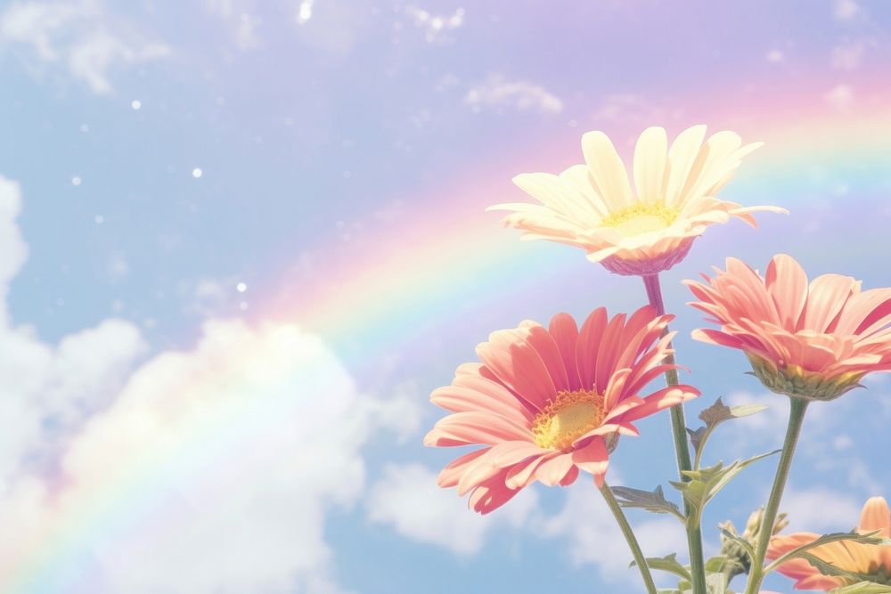 Summer flower rainbow landscape outdoors. AI generated Image by rawpixel.