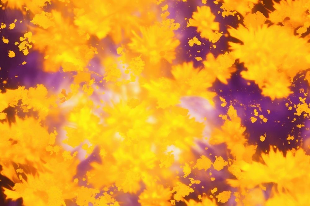 Marigold backgrounds outdoors pattern. AI | Free Photo - rawpixel