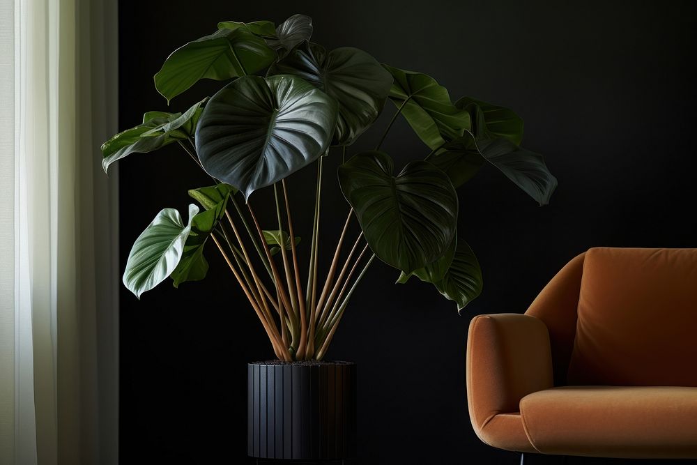 Furniture nature chair plant. AI generated Image by rawpixel.