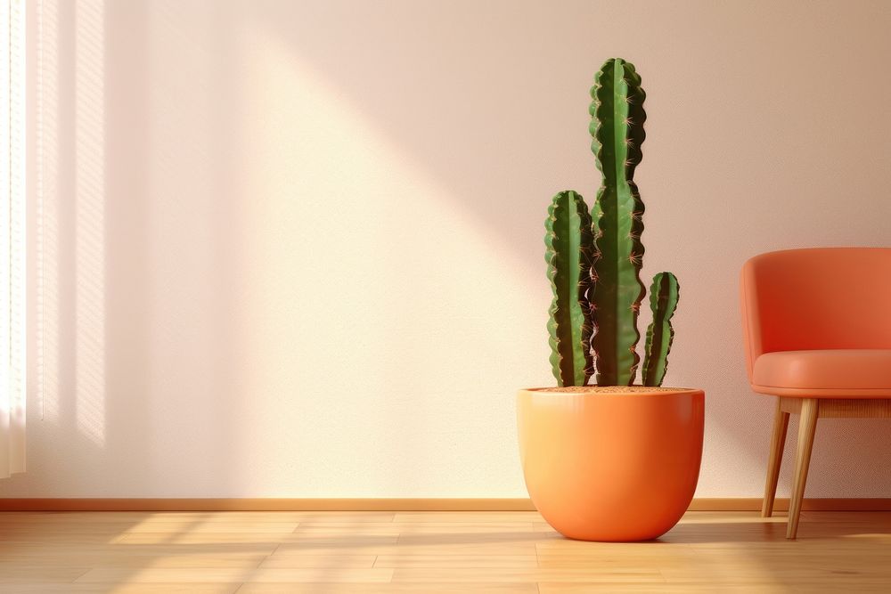Cactus cactus furniture nature. AI generated Image by rawpixel.