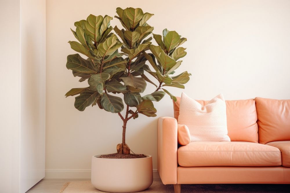 Leaf room furniture nature. AI generated Image by rawpixel.