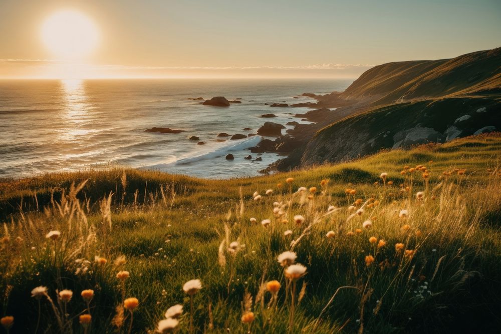 Sea cliff flower grass landscape. 