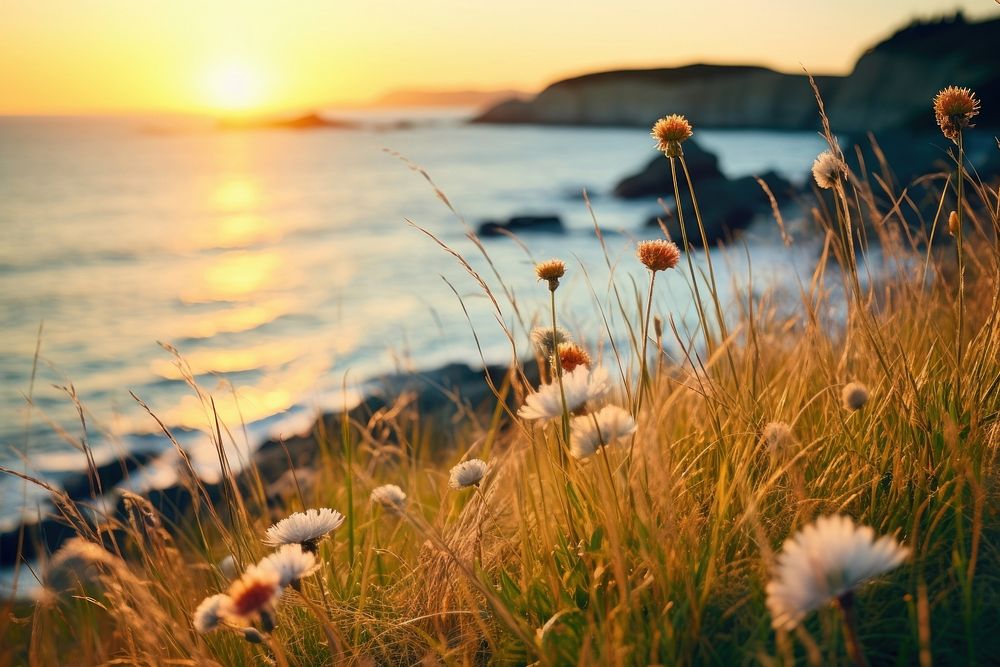 Sea cliff sunset flower grass. AI generated Image by rawpixel.