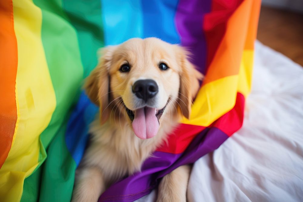 A puppy golden retriever rainbow mammal dog. AI generated Image by rawpixel.
