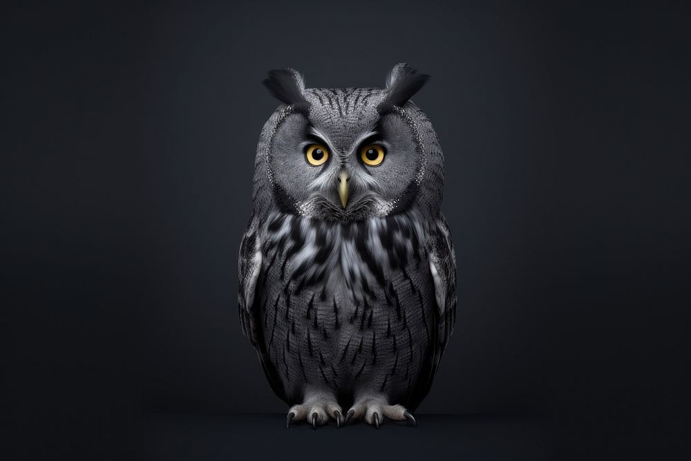 An owl animal bird beak. AI generated Image by rawpixel.
