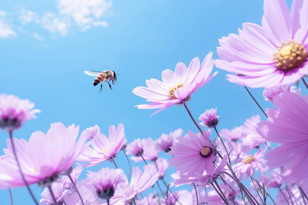 Flower close up nature bee outdoors. AI generated Image by rawpixel.