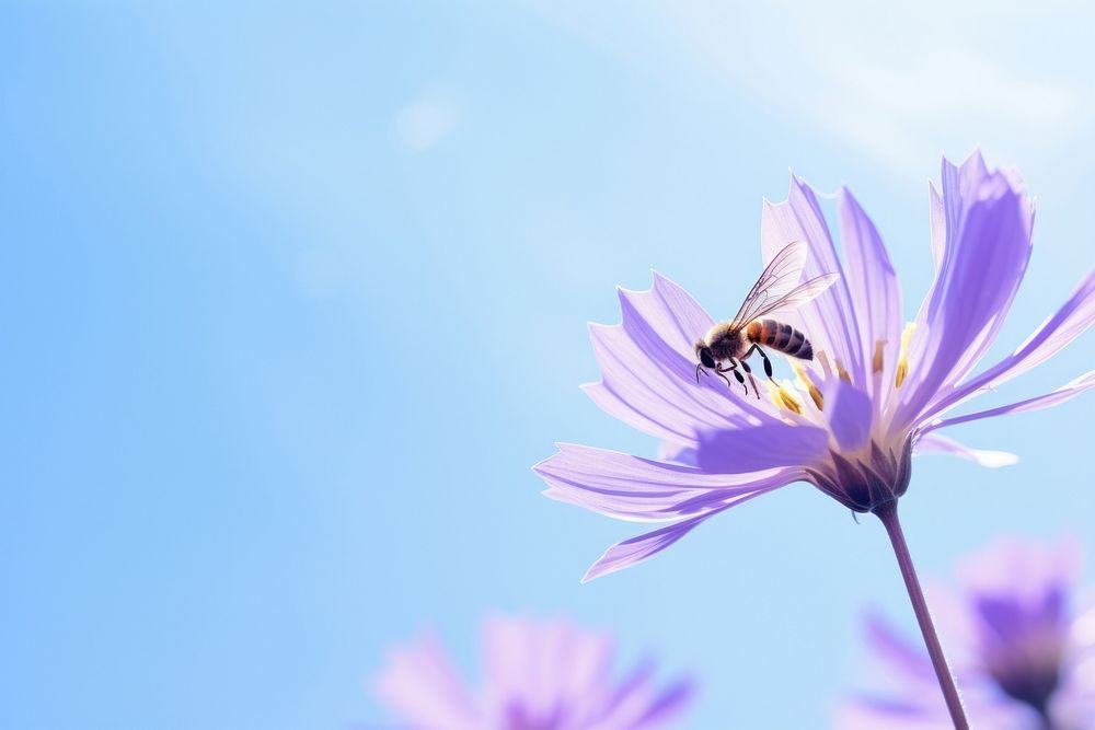 Flower close up nature bee outdoors. AI generated Image by rawpixel.