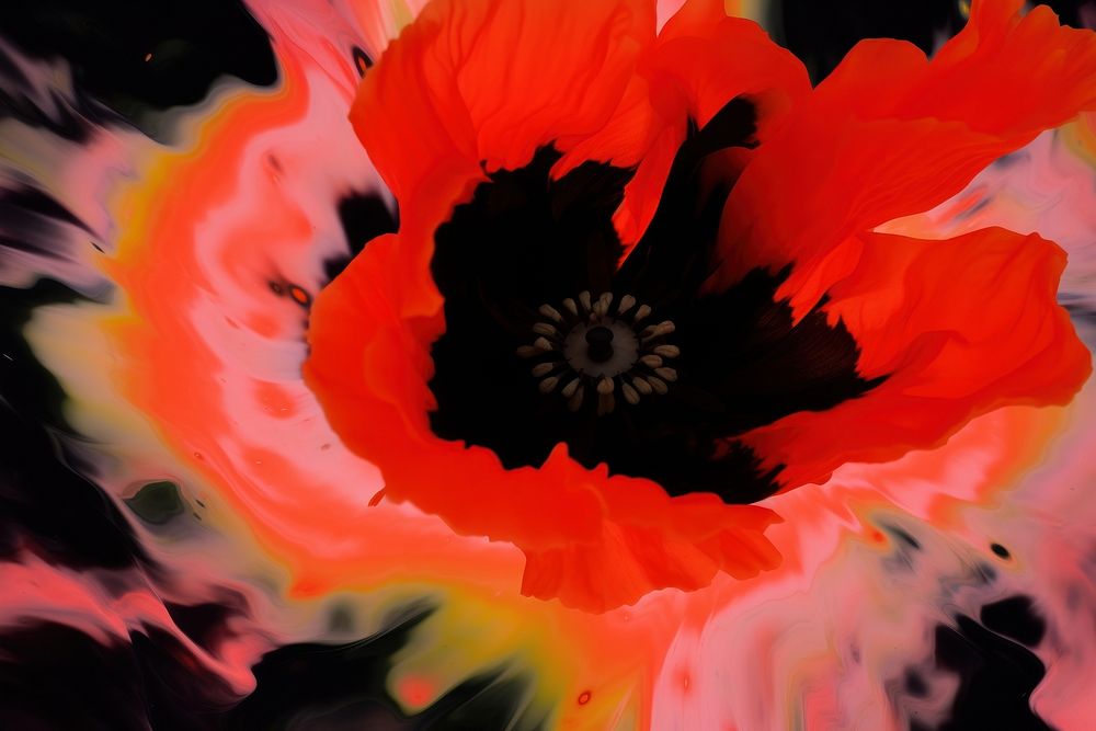 Poppy backgrounds flower petal. AI generated Image by rawpixel.