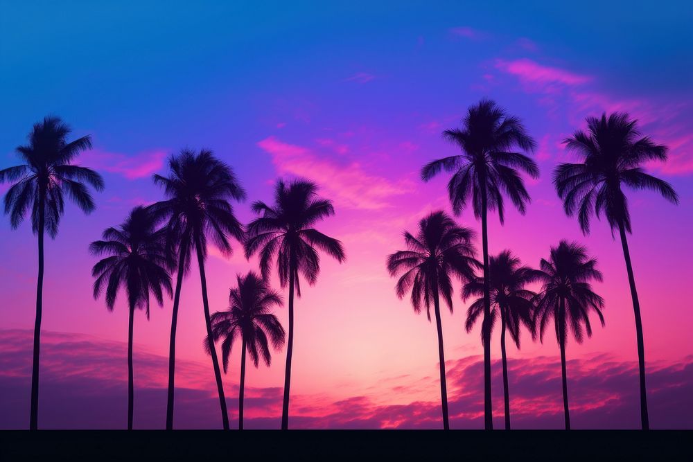 Palm trees summer purple silhouette. AI generated Image by rawpixel.
