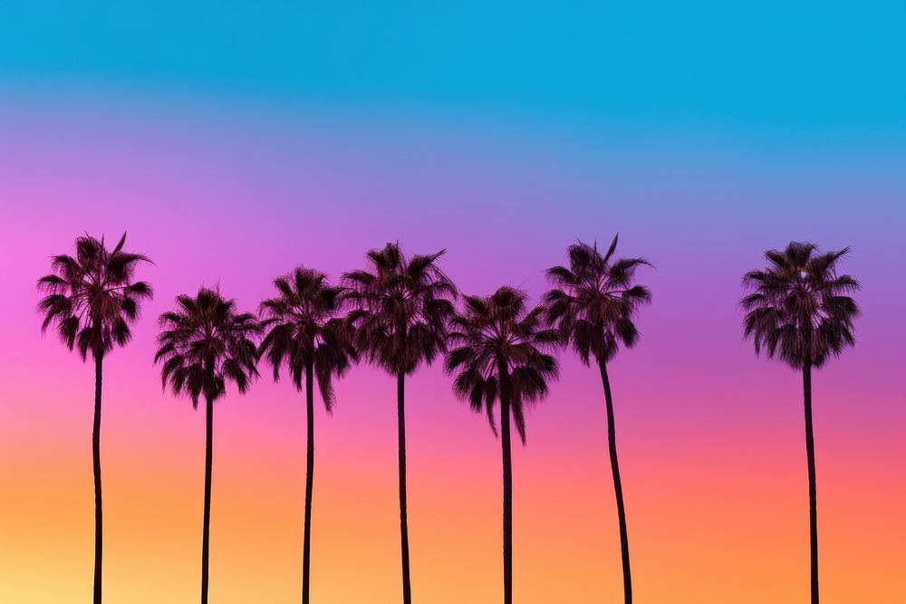 Palm trees silhouette landscape outdoors. AI generated Image by rawpixel.