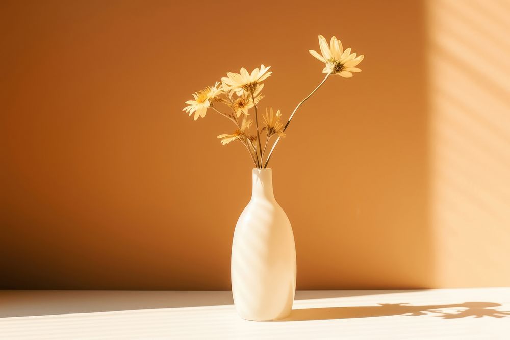 Flower in vase sunlight plant copy space. AI generated Image by rawpixel.