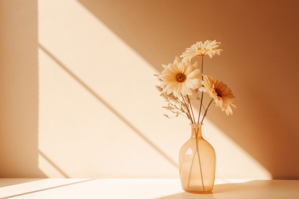 Flower in vase sunlight plant jar. AI generated Image by rawpixel.