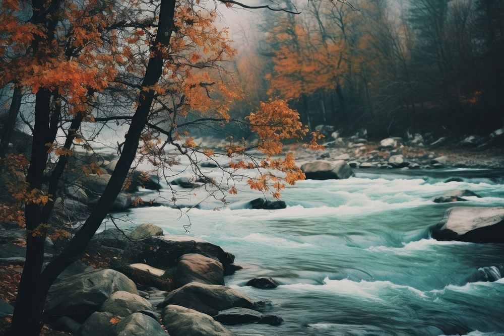 Close up of river fall in autumn view landscape outdoors nature. AI generated Image by rawpixel.