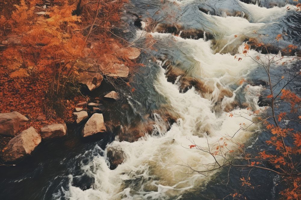 Top view of river fall in autumn view outdoors nature stream. AI generated Image by rawpixel.