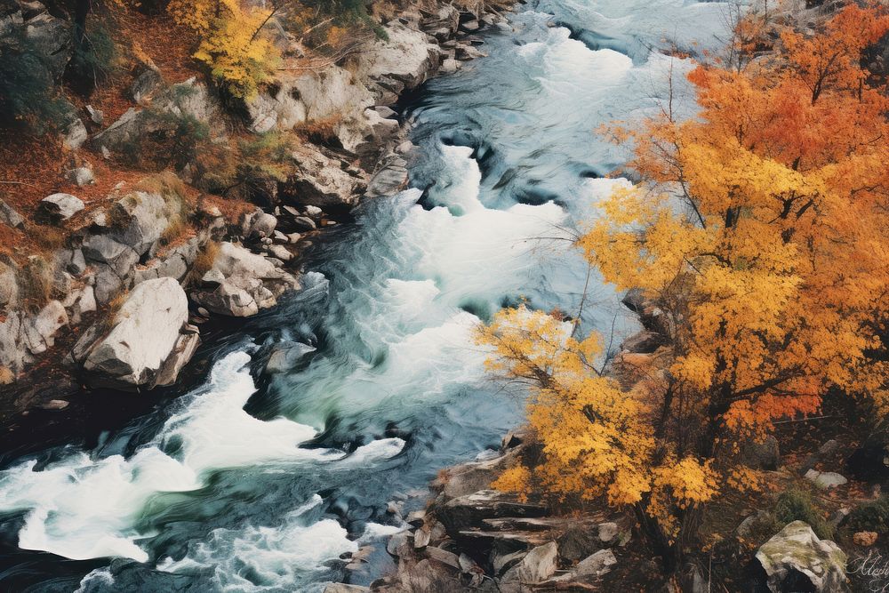 Top view of river fall in autumn view outdoors nature forest. AI generated Image by rawpixel.