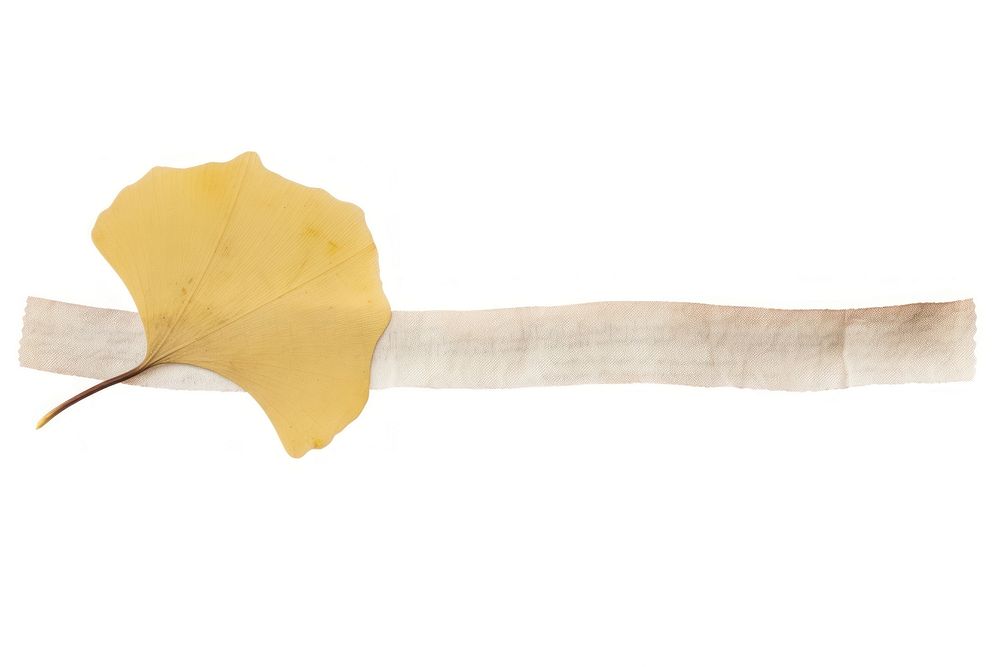 Yellow ginkgo leaf petal plant white background. AI generated Image by rawpixel.