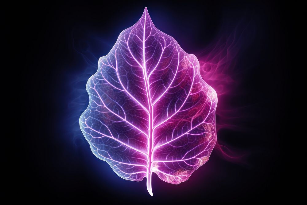 Leaf pattern nature purple. AI generated Image by rawpixel.