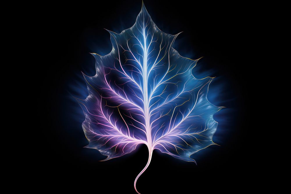 Leaf pattern plant illuminated. AI generated Image by rawpixel.