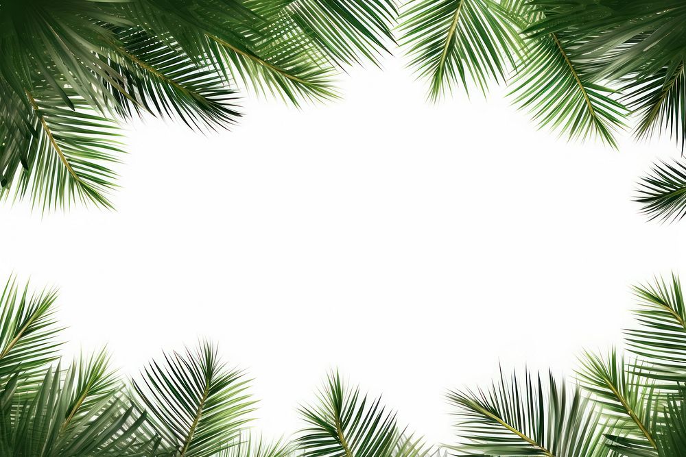 Leaf coconut tree green backgrounds sunlight. AI generated Image by rawpixel.