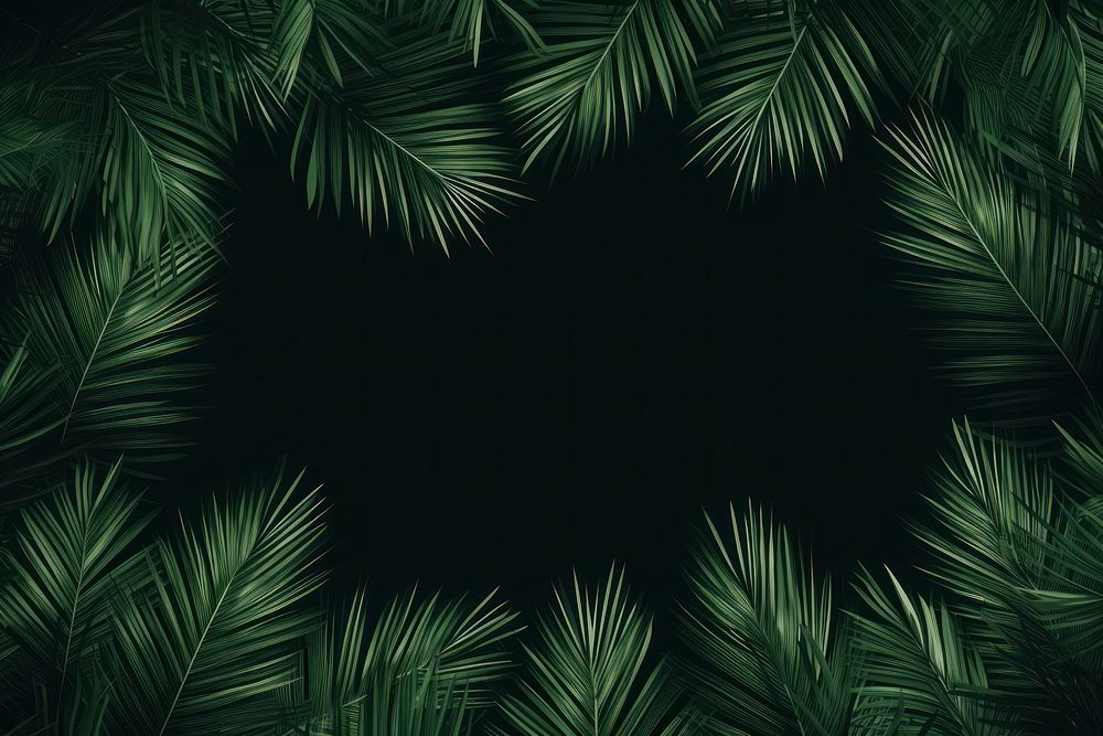 Leaf coconut tree green backgrounds outdoors. AI generated Image by rawpixel.