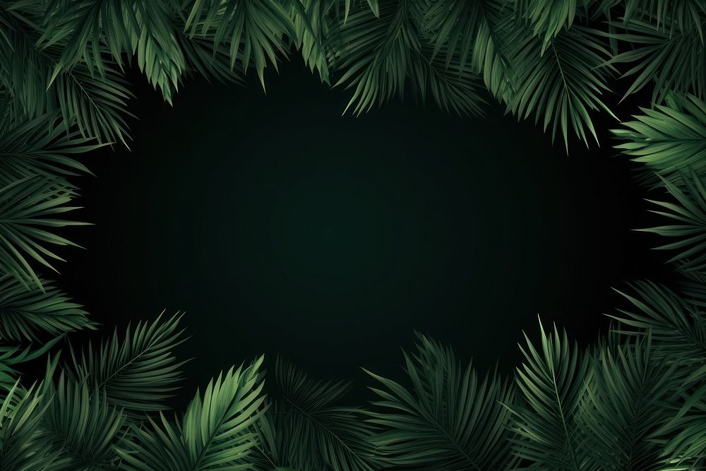 Leaf coconut tree green backgrounds outdoors. AI generated Image by rawpixel.