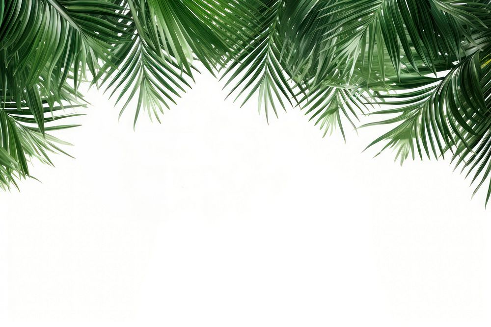 Leaf coconut tree green backgrounds pattern. AI generated Image by rawpixel.