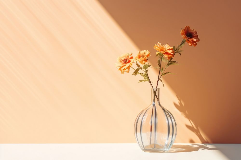 Flower in vase sunlight plant transparent. AI generated Image by rawpixel.