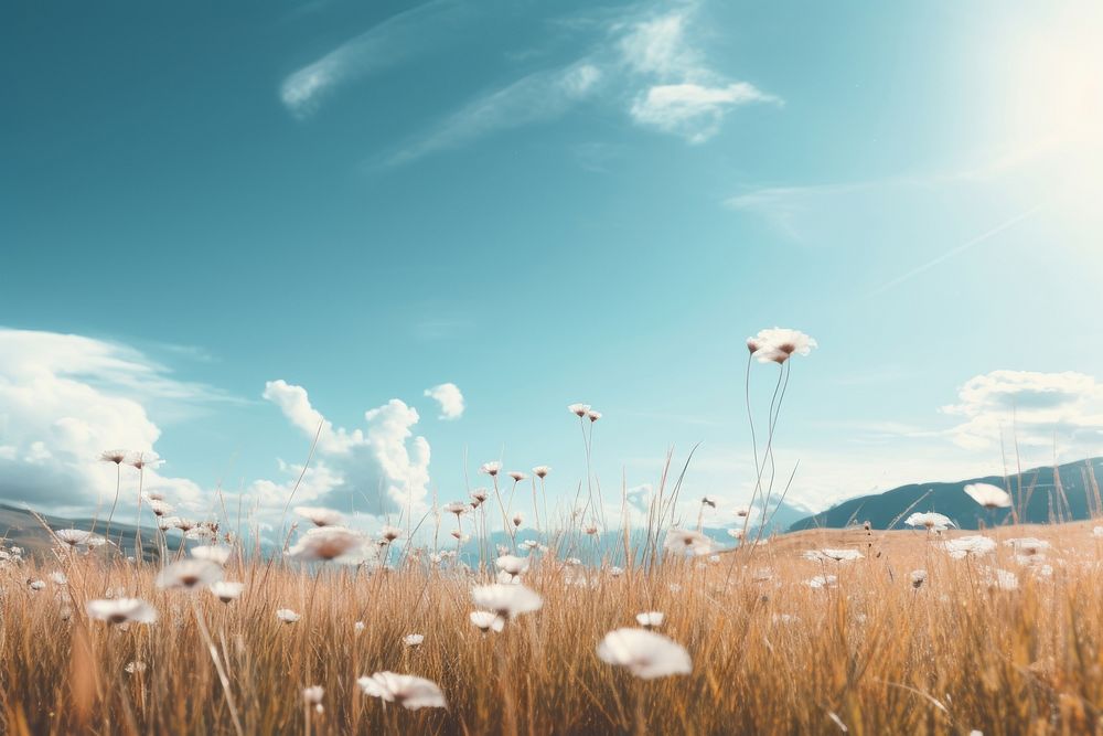 Mountain meadow sky landscape grassland. AI generated Image by rawpixel.